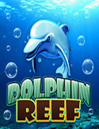 สอนเล่นสล็อตโรม่าให้เป็นเซียนเหมือนมืออาชีพ